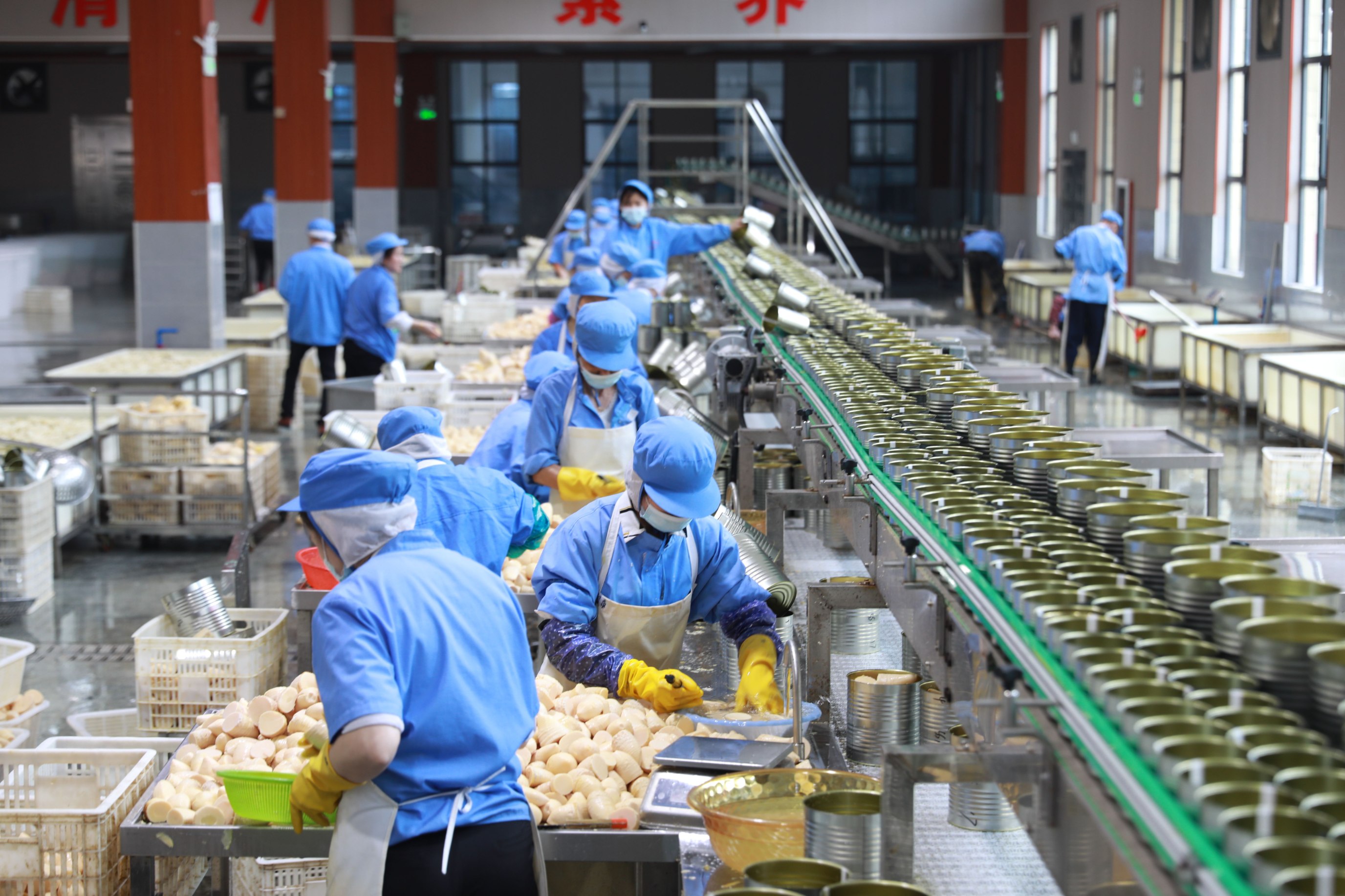 人行樂安縣支行 金融活水精準滴灌，助力竹筍產業融合升級